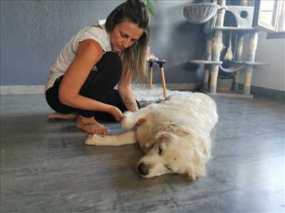 photo partagée par Ariane Education Canine pour l’activité masseur dans le 74