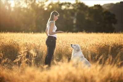 éducateur canin avec Ariane Education Canine